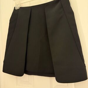 Zara Basic Black Skirt